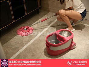 拖把產(chǎn)品質(zhì)量 煙臺(tái)拖把產(chǎn)品 麗爾家日用品廠家直銷(xiāo)